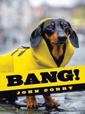 cover image of Bang!